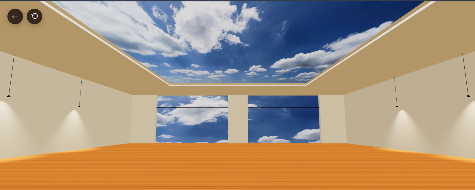Immersive view